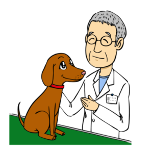 小動物の予防医療が、ヒトの予防医療に深く関わっていることがありますので、獣医師の役割・存在は非常に重要なのだと思います。