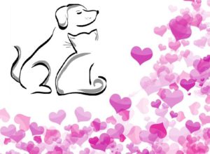 来年以降は、日本の獣医療業界でも、Veterinarian Appreciation Day™が受け入れられるように、獣医師とペット（ペットオーナー）の関係が「今以上に」より良い関係となっていくことを願っております。