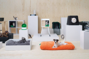 IKEAに犬と猫のための新ペット用品シリーズが登場　獣医師のサポートを得て商品開発
