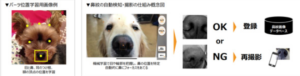 リクルート実証実験　犬写真からＡＩを使い個別識別　迷子犬捜索に期待
